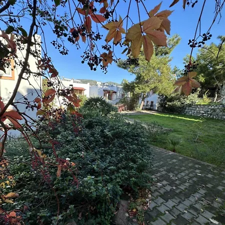 Pinky Lägenhetshotell 4*